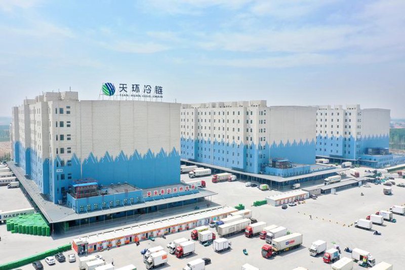 批发之道：在商品批发中掌握行业动态与商机洞察